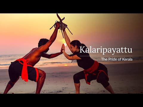 Kalaripayattu Performance Video